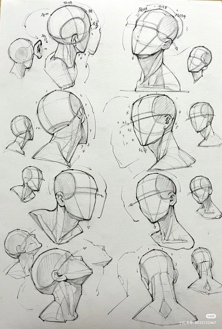 Pencil studies of heads from many angles